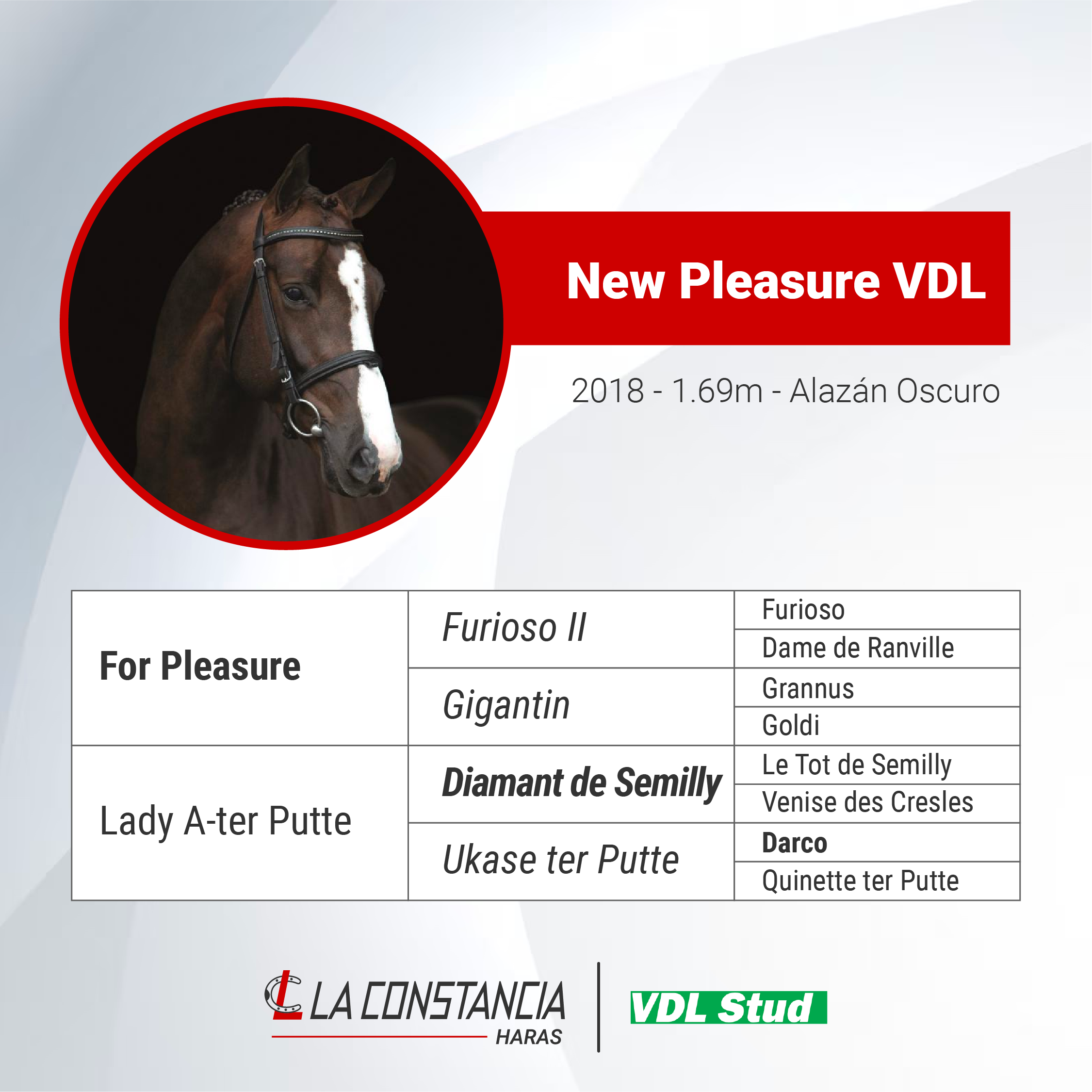 New Pleasure VDL