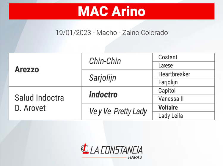 Mac Arino