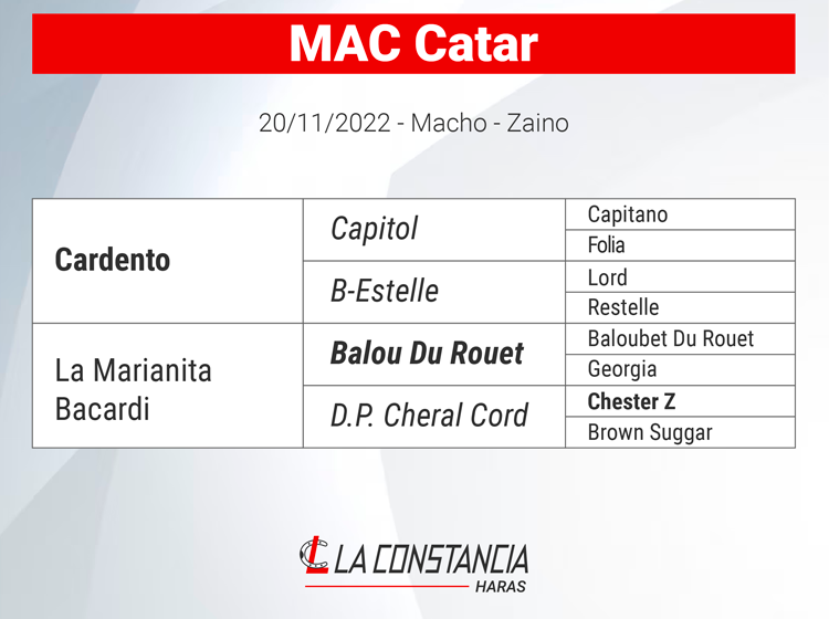 Mac Catar